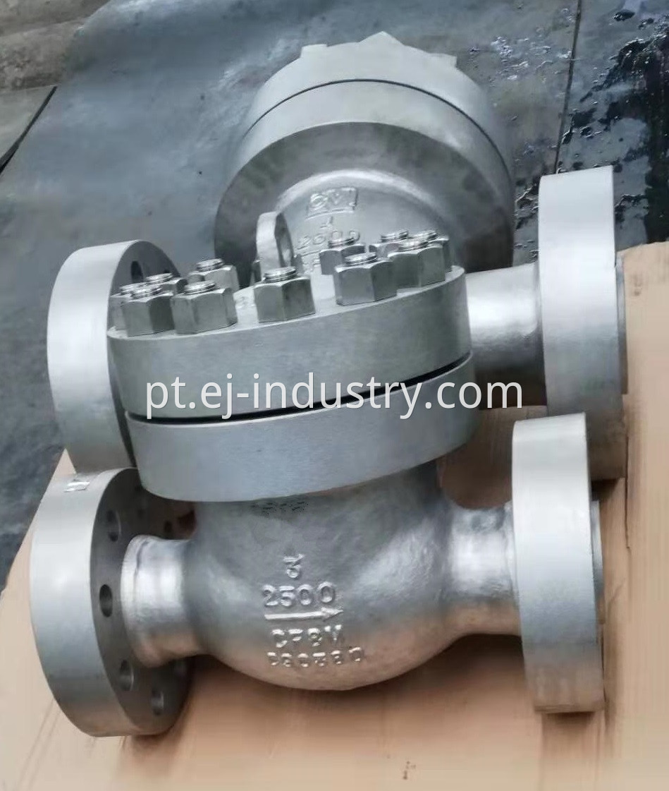 Ss Check Valve1